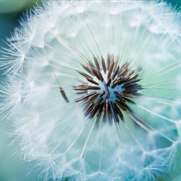 Meet your Posher, Laurie - Picture 1 of 1